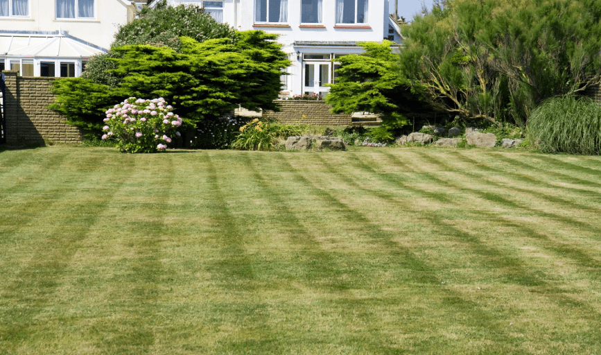 CFM Landscaping and Lawn Care